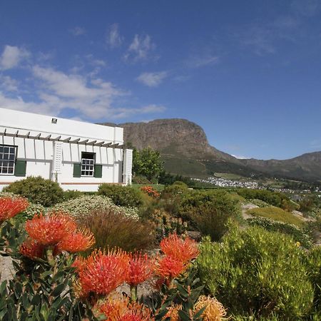 The Vineyard Cottage By L' Amitie Estate Franschhoek Buitenkant foto