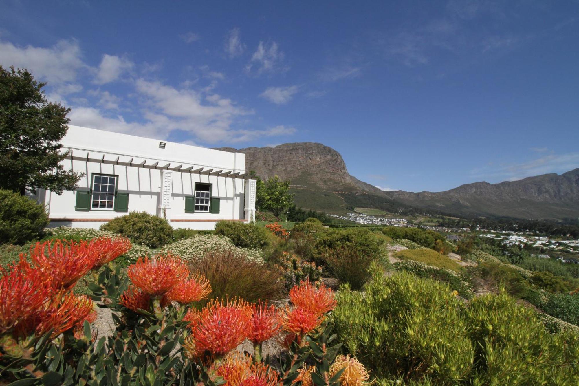 The Vineyard Cottage By L' Amitie Estate Franschhoek Buitenkant foto